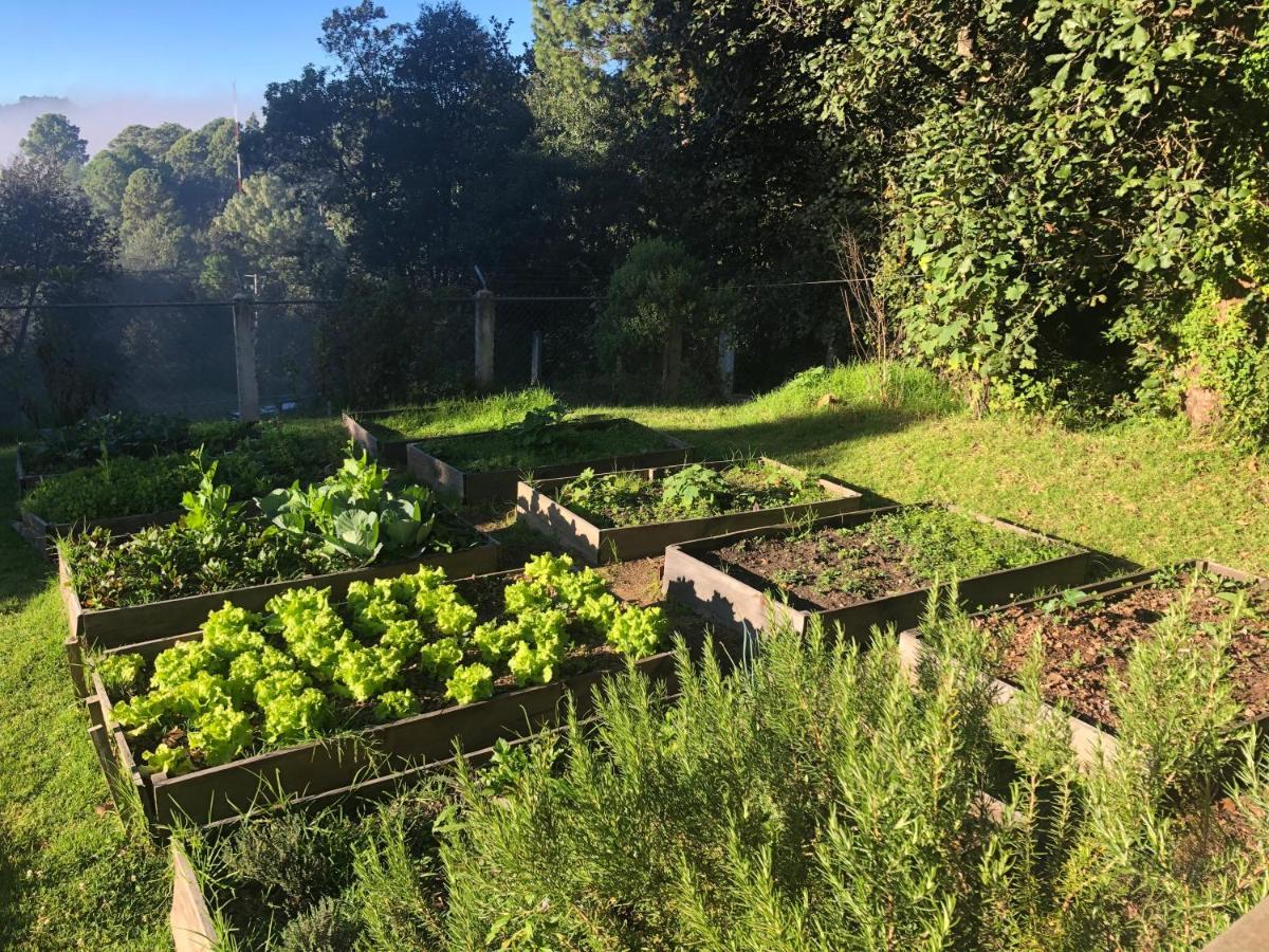 Gaia Nature Otel San Cristóbal de Las Casas Dış mekan fotoğraf