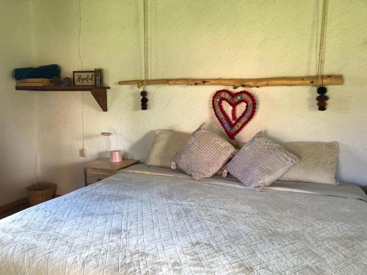 Gaia Nature Otel San Cristóbal de Las Casas Dış mekan fotoğraf