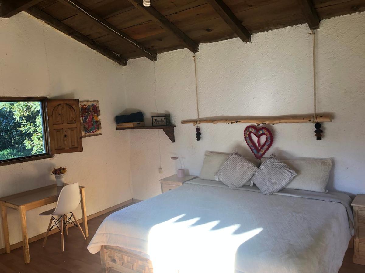 Gaia Nature Otel San Cristóbal de Las Casas Dış mekan fotoğraf