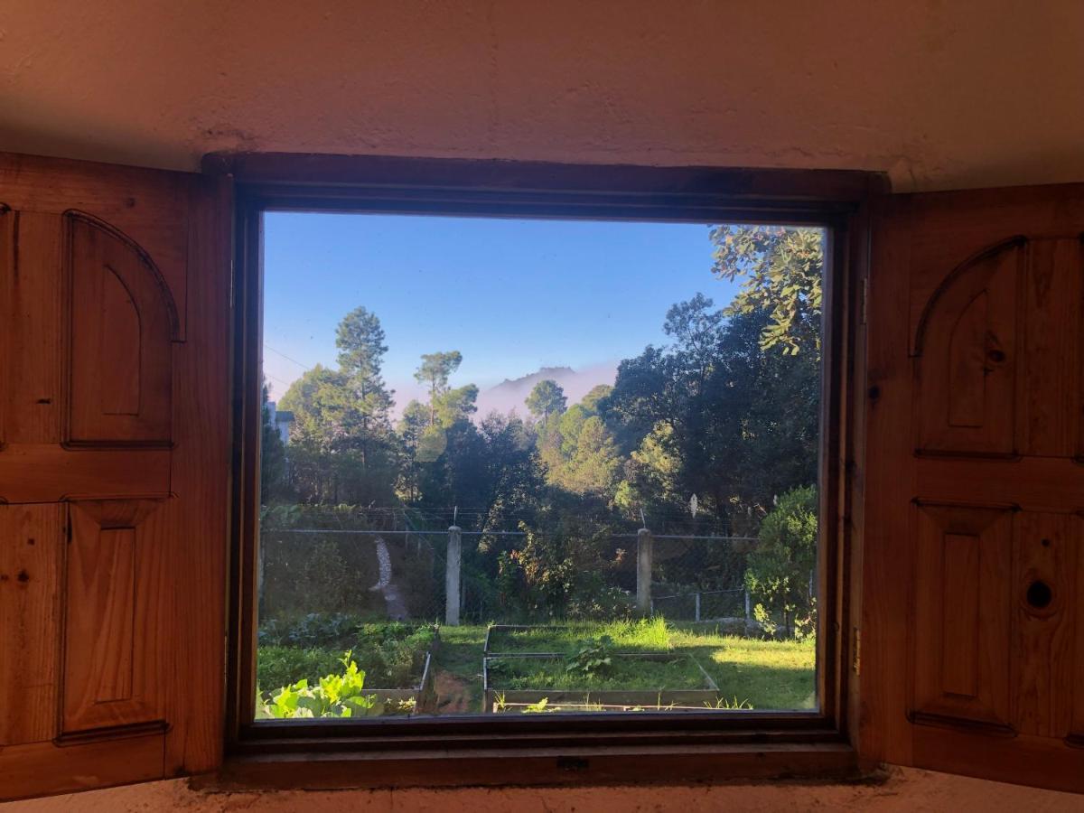 Gaia Nature Otel San Cristóbal de Las Casas Dış mekan fotoğraf