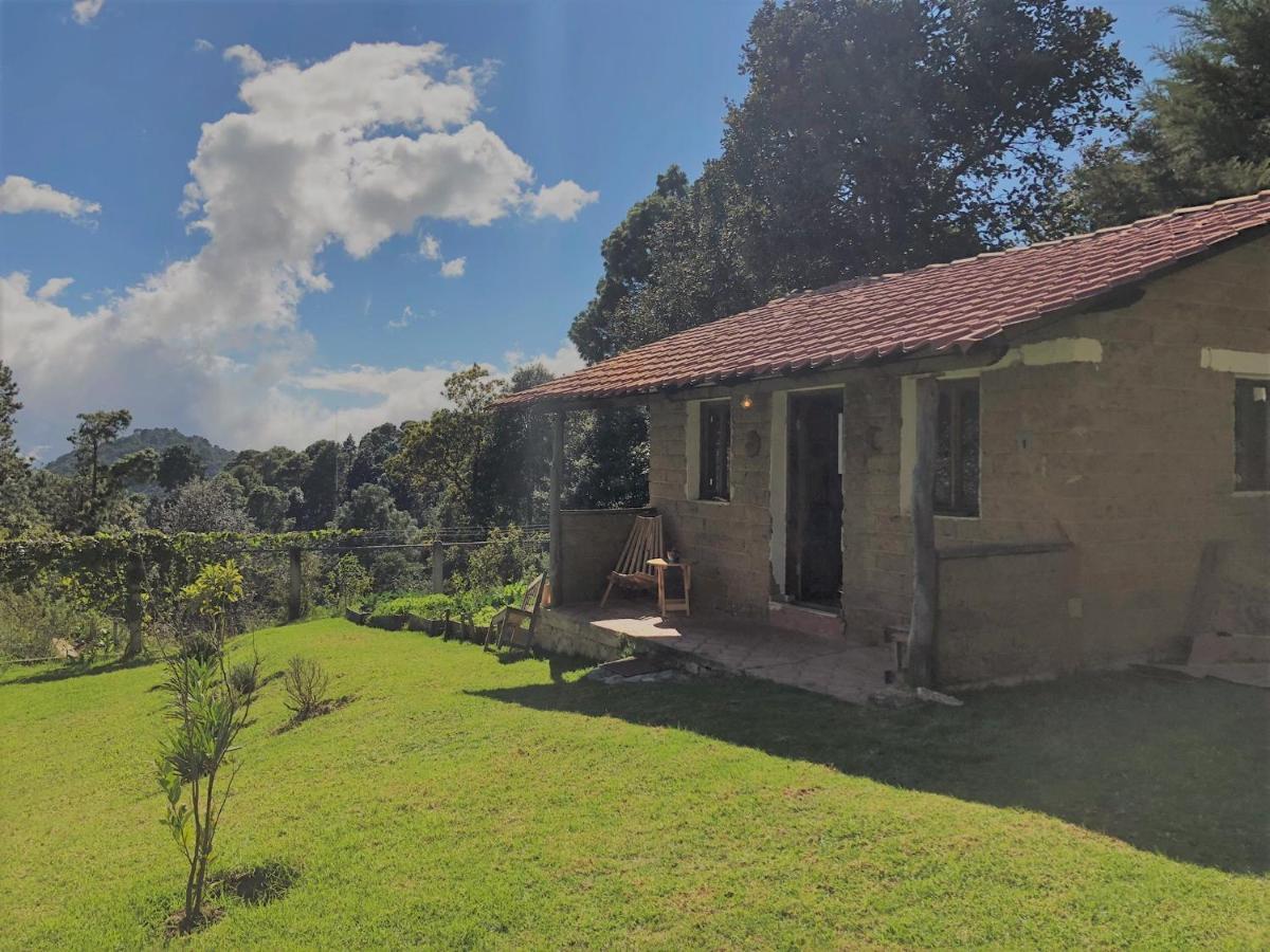 Gaia Nature Otel San Cristóbal de Las Casas Dış mekan fotoğraf