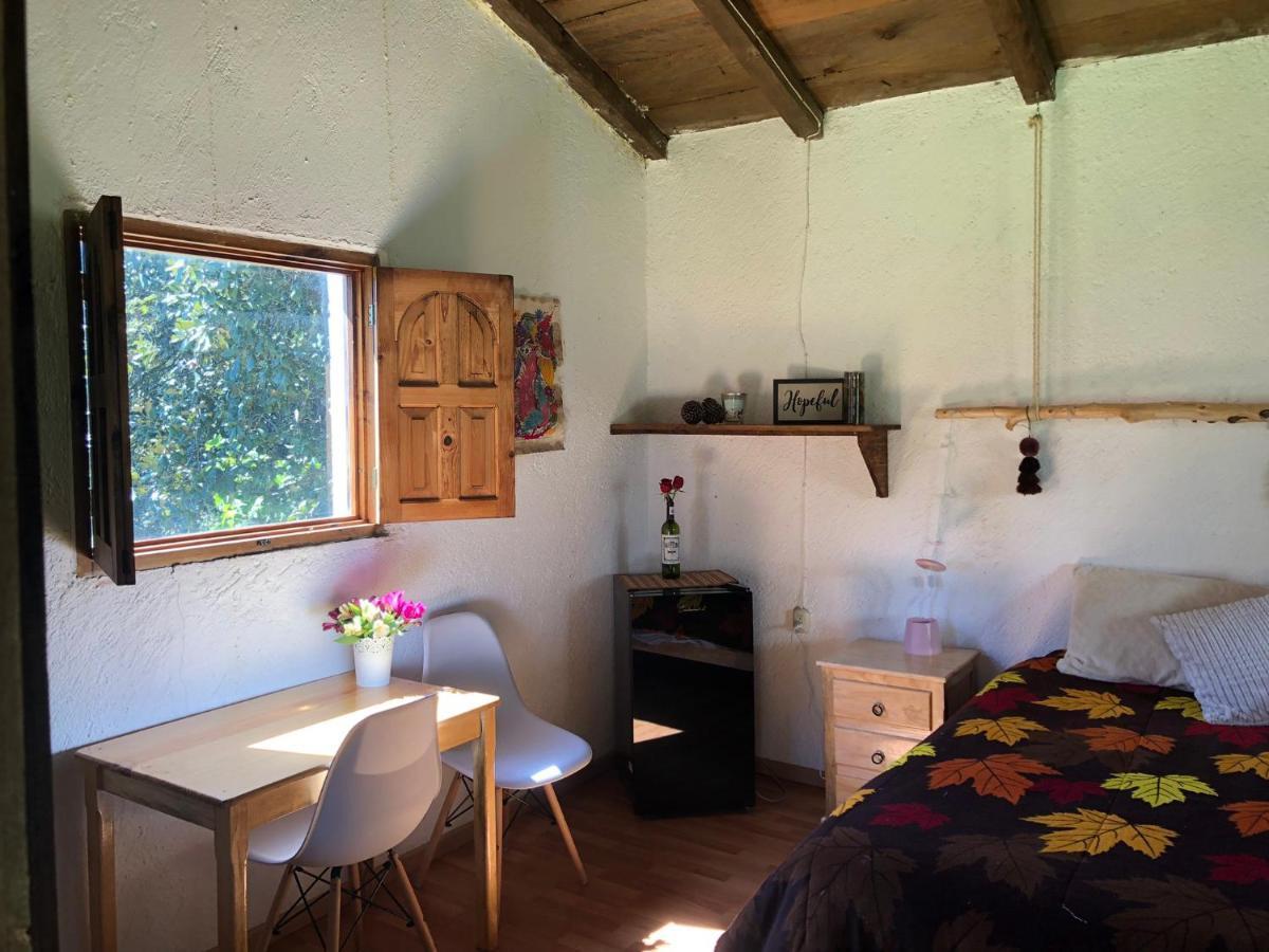 Gaia Nature Otel San Cristóbal de Las Casas Dış mekan fotoğraf